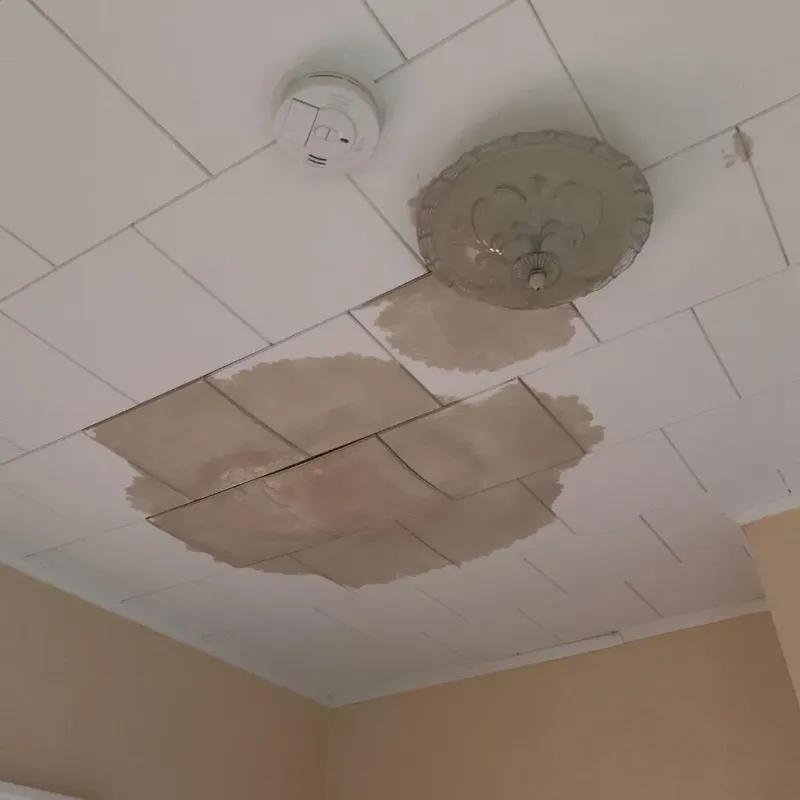 Ceiling Water Damage Repair in Lisbon, OH