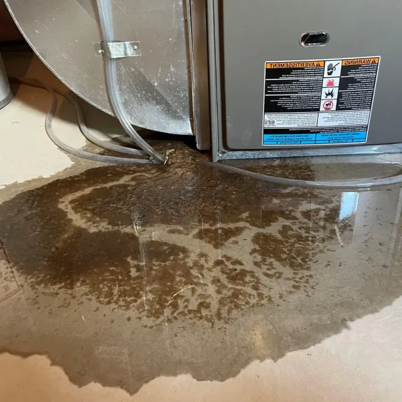 Pipe Burst and Leak Restoration in Lisbon, OH