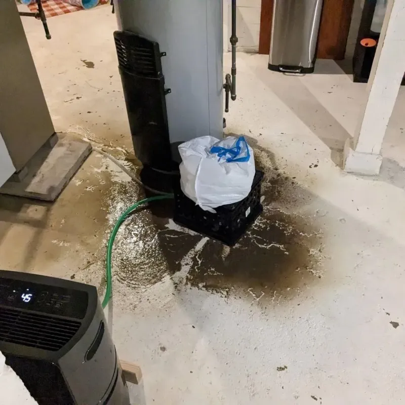 Sewage Backup Cleanup Service in Lisbon, OH